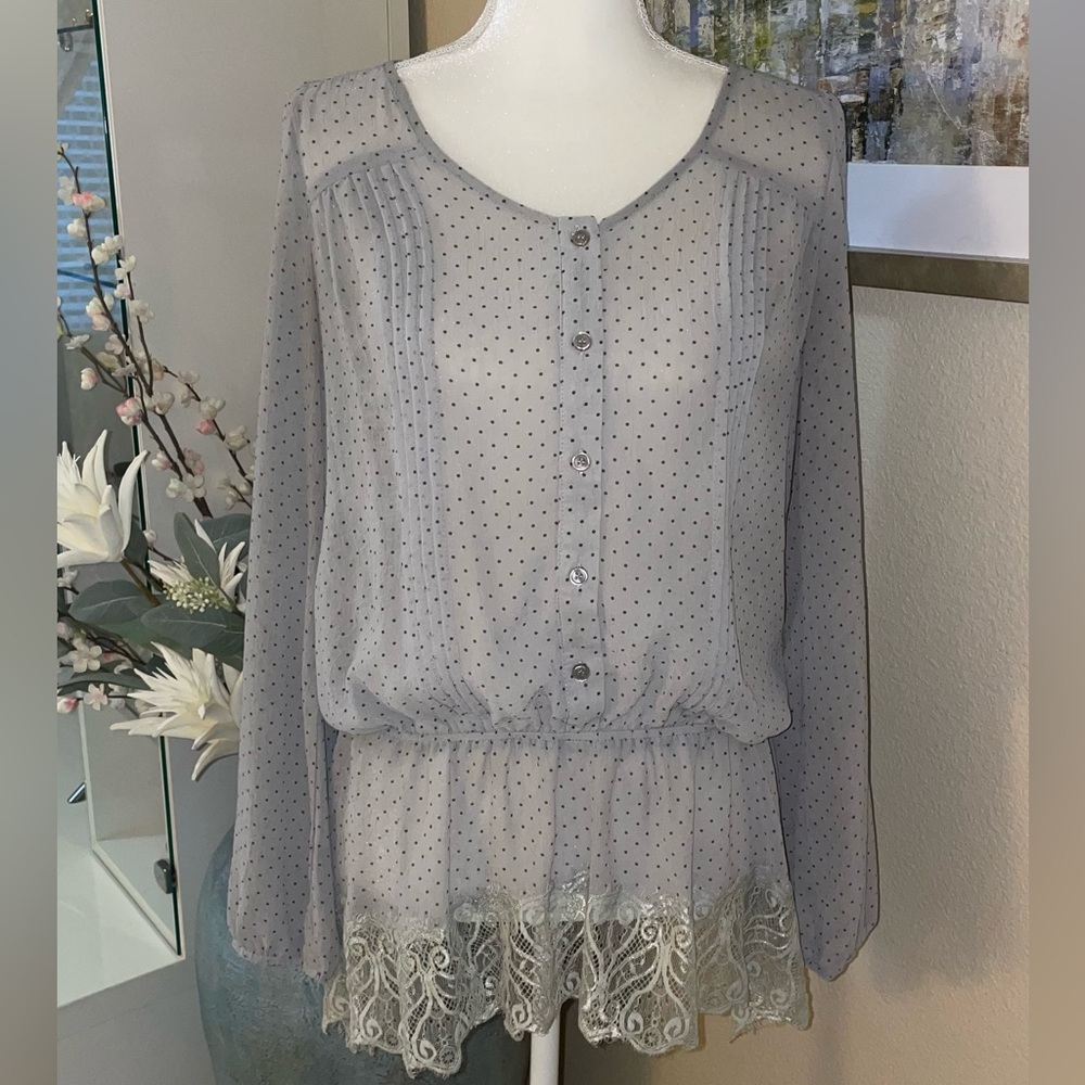 Sheer Gray Polka Dot Blouse with Lace Hem